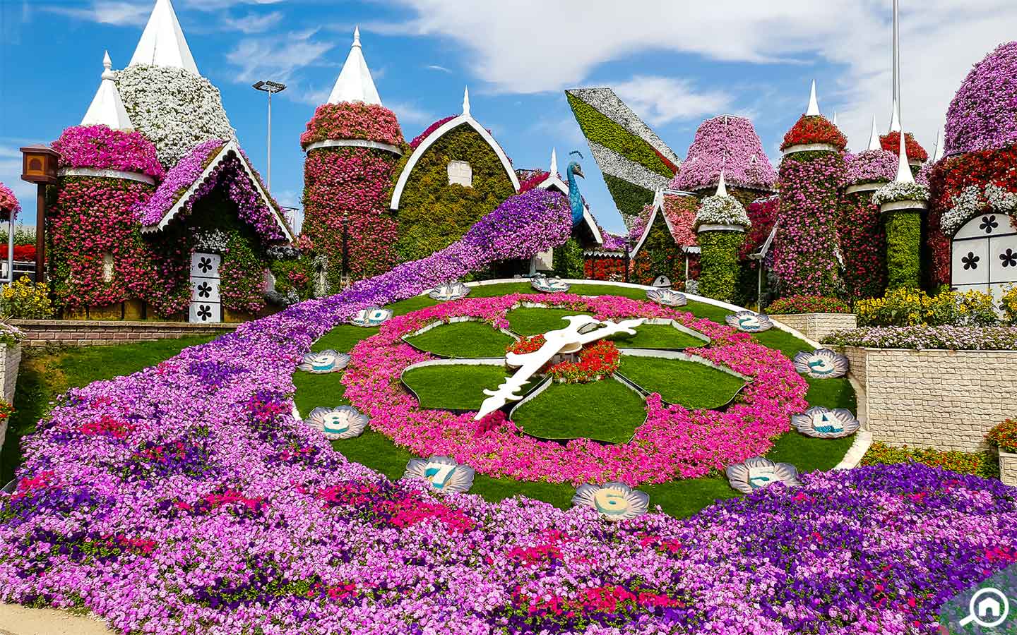 Floral Clock