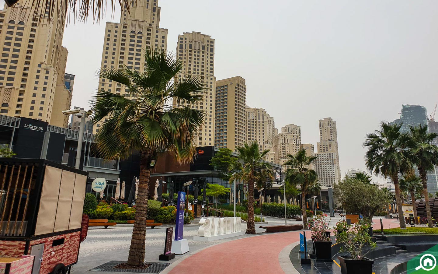 sadaf, jbr building 8